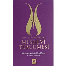 Mesnevi Tercümesi