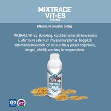 Mıxtrace Vıt - Es Vitamin E ve Selenyum Desteği - Sıvı Premiks 1 Litre