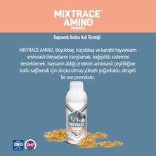 Mıxtrace Amino Kapsamlı Aminoasit Desteği - Sıvı Premiks 1 Litre