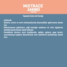 Mıxtrace Amino Kapsamlı Aminoasit Desteği - Sıvı Premiks 1 Litre