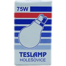 Teslamp 75W 240V 2800K B22 A60 Buzlu Cam Halojen Ampul 5 Adet