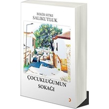 Çocukluğumun Sokağı