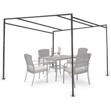 Weblonya Metal Çardak Kamelya Bahçe Gölgelik Pergola 3 mt x 2,5 mt 2191