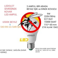 Ledolet Sivri Sinek Kovar 9W LED Ampul