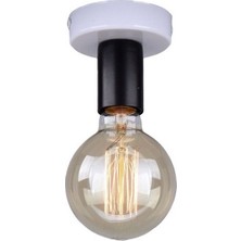 Riolight  Tekli Metal Plofonyer Tavan Armatur