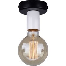 Riolight  Tekli Metal Plofonyer Tavan Armatur