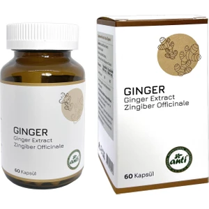 Ginger ExtracT-Zencefil Ekstresi 60 Kapsül