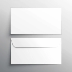 Egesta 100 Adet Diplomat Zarf Penceresiz 1.hamur 110GR. 10,5X24CM