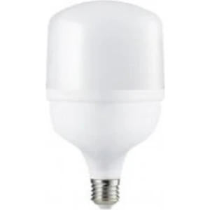 CT-4262 50W/6400K LED Ampul (Beyaz) Cata