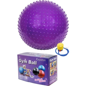 Dikenli Yoga Pilates Aeorobik Jimnastik Topu 65 cm Mor