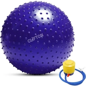Dikenli Yoga Pilates Aeorobik Jimnastik Topu 65 cm Mor Pompa Hediyel