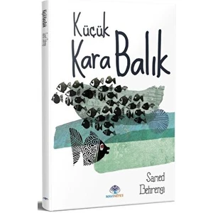 Küçük Kara Balık - Samed Behrengi