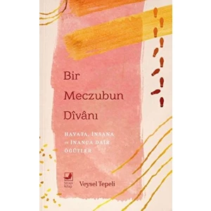 Bir Meczubun Divanı