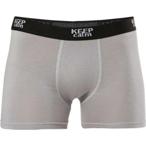 5 Adet Gri Renk Likralı Modal Boxer
