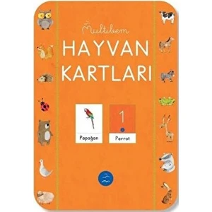 Hayvan Kartları