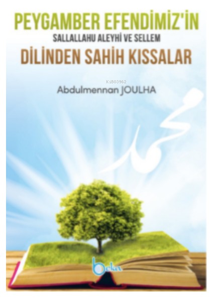 Peygamber Efendimiz'in Sallallahu Aleyhi ve Sellem Dilinden Sahih Kıssalar