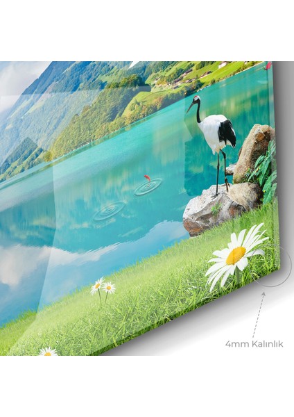 Cam Tablo 50 x 70