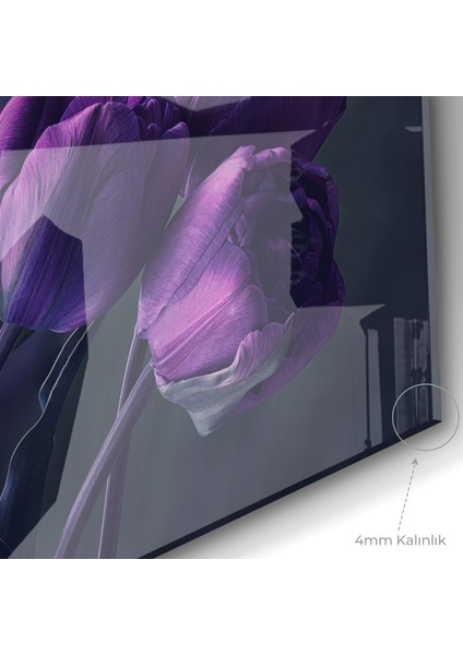 Cam Tablo 50 x 70