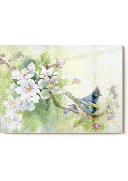 Cam Tablo 50 x 70