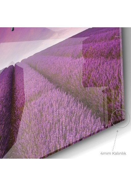 Cam Tablo 50 x 70