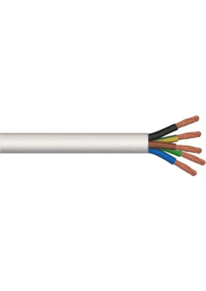 H05VV-F Ttr Kablo 5x2,5 100MT