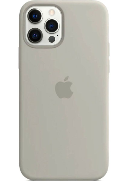 Apple iPhone 11 Pro Max Uyumlu Logolu Içi Kadife Altı Açık Lansman Taş Rengi Silikon Kılıf