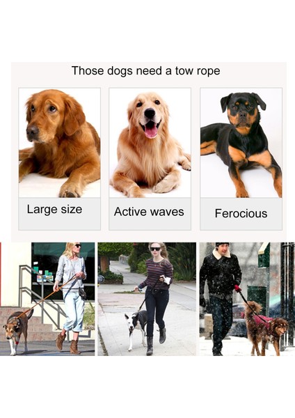 Pet Çekiş Tasması (Yurt Dışından) modelleri