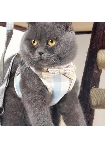 Halat Göğüs Kablo Demet Yelek Tipi Küçük Köpek Yürüyen Halat (Yurt Dışından) fırsatları