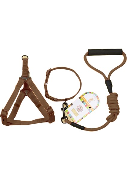 Tasma Pet Köpek Yakası-3 Set (Yurt Dışından)