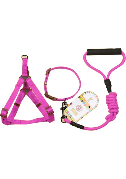 Tasma Pet Köpek Yakası-3 Set (Yurt Dışından)