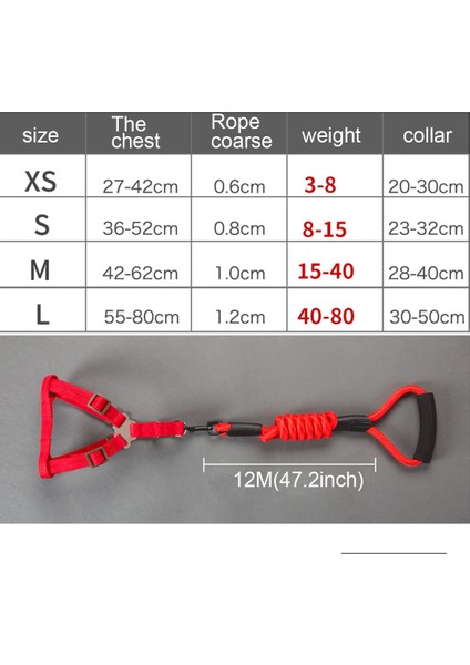 Tasma Pet Köpek Yakası-3 Set (Yurt Dışından)