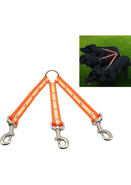 Evcil Köpek Için Tasma (Yurt Dışından)