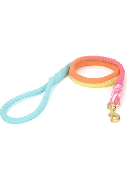 Evcil Köpek Için Tasma (Yurt Dışından)