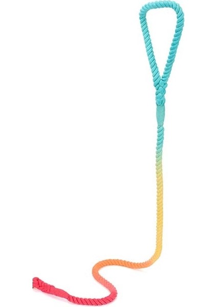 Evcil Köpek Için Tasma (Yurt Dışından) modelleri