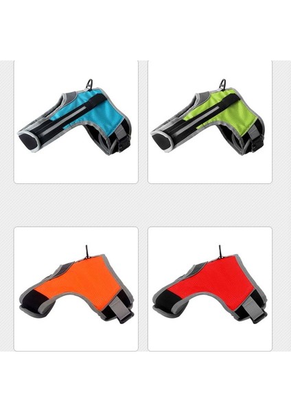 Halatsız Evcil Köpek Tasması (Yurt Dışından) fiyatları