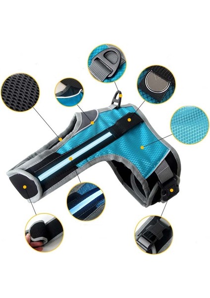 Halatsız Evcil Köpek Tasması (Yurt Dışından) fırsatları