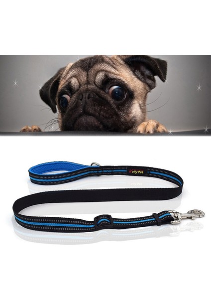 Pet Çekiş Tasması (Yurt Dışından) modelleri