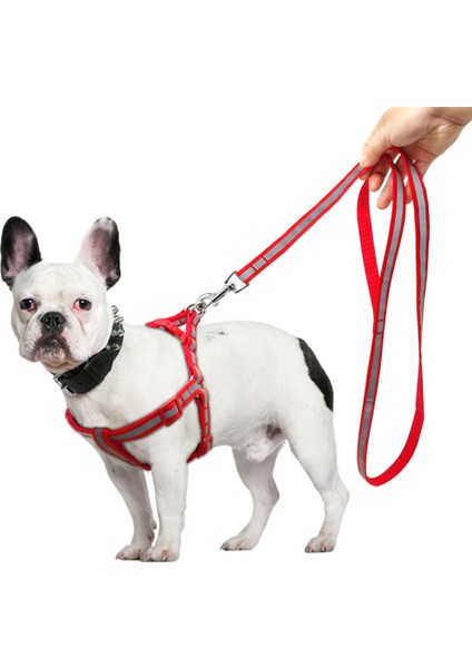 Küçük Orta Köpekler Naylon Yansıtıcı Köpek Tasma (Yurt Dışından)
