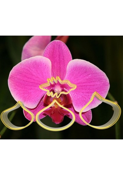 Orkide Çiçek Yapım Seti 4 Parça