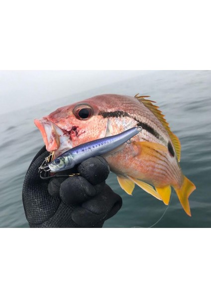 Metal Adict 04 40 gr Jig Yem - 10 fiyatları