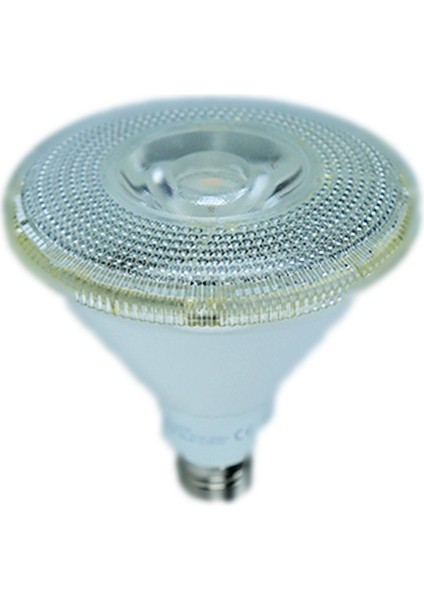 17W 230V 2700K E27 PAR38 LED Ampul