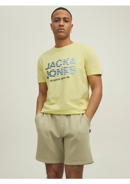 Jack & Jones Erkek Bisiklet Yaka Baskılı Tişört 12213771