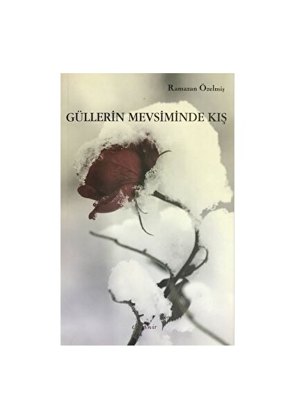 Güllerin Mevsiminde Kış - Kolektif