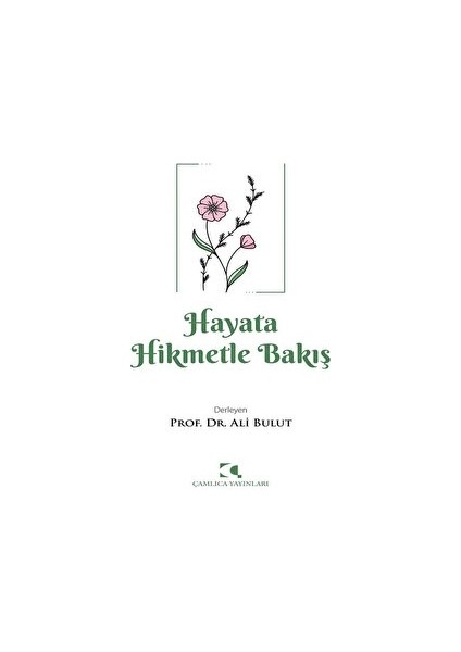 Hayata Hikmetle Bakış - Ali Bulut