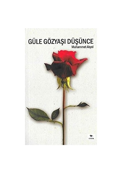 Nehir Izi - Burhan İşiyok - Burhan İşiyok