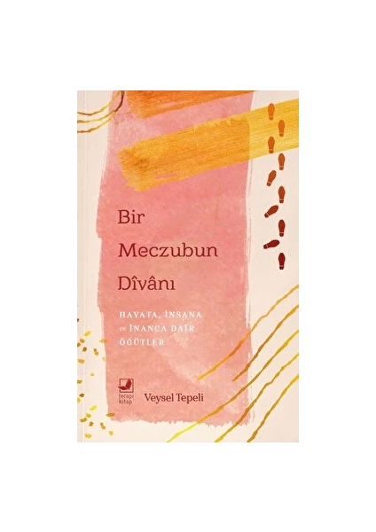 Bir Meczubun Divanı