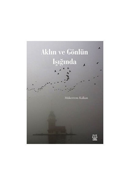 Aklın ve Gönlün Işığında