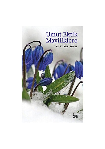 Umut Ektik Maviliklere