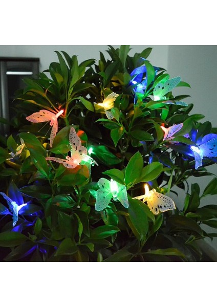 12 LED Açık Güneş Enerjili Kelebek Peri Işıkları Yard Veranda Dekoru Için Suya Dayanıklı Bahçe Dize Işık (Yurt Dışından)