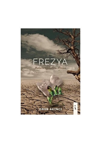 Frezya